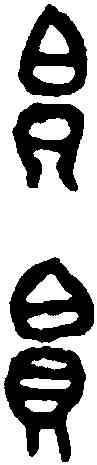 帛,師㝨乍 後男敦,書法字典